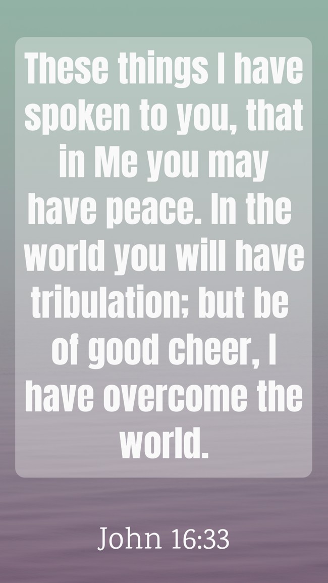 These things I have spoken to you, that in Me you may have peace. In the world you will have tribulation; but be of good cheer, I have overcome the world. - John 16:33