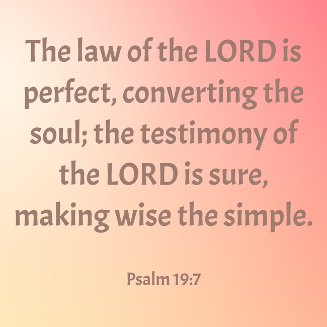 The law of the LORD is perfect, converting the soul; the testimony of the LORD is sure, making wise the simple. - Psalm 19:7