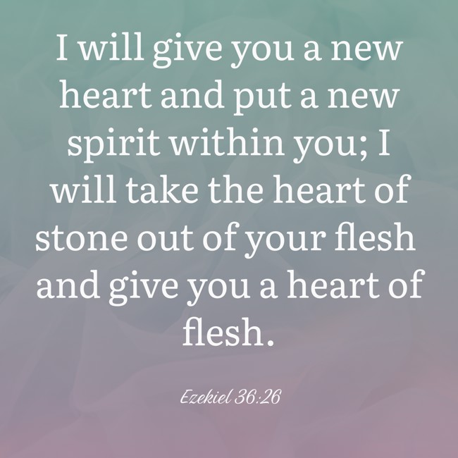 I will give you a new heart and put a new spirit within you; I will take the heart of stone out of your flesh and give you a heart of flesh. - Ezekiel 36:26