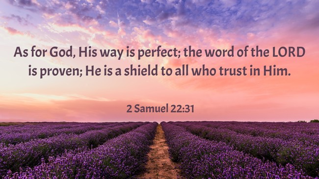 As for God, His way is perfect; the word of the LORD is proven; He is a shield to all who trust in Him. - 2 Samuel 22:31