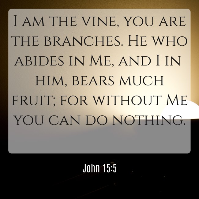 I am the vine, you are the branches. He who abides in Me, and I in him, bears much fruit; for without Me you can do nothing. - John 15:5