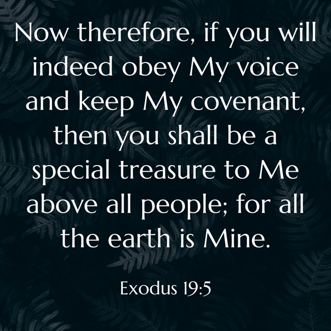  Now therefore, if you will indeed obey My voice and keep My covenant, then you shall be a special treasure to Me above all people; for all the earth is Mine.   - Exodus 19:5 
