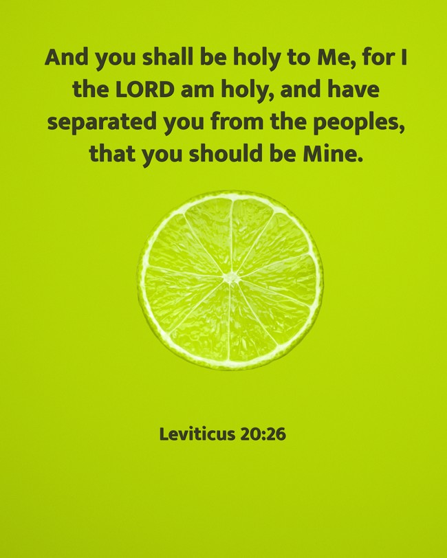  And you shall be holy to Me, for I the LORD am holy, and have separated you from the peoples, that you should be Mine.   - Leviticus 20:26 