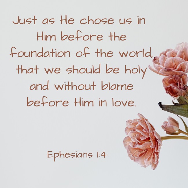  Just as He chose us in Him before the foundation of the world, that we should be holy and without blame before Him in love.   - Ephesians 1:4 