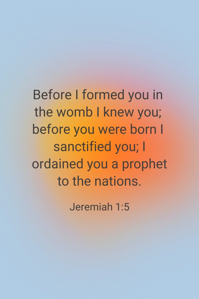  Before I formed you in the womb I knew you; before you were born I sanctified you; I ordained you a prophet to the nations.   - Jeremiah 1:5 