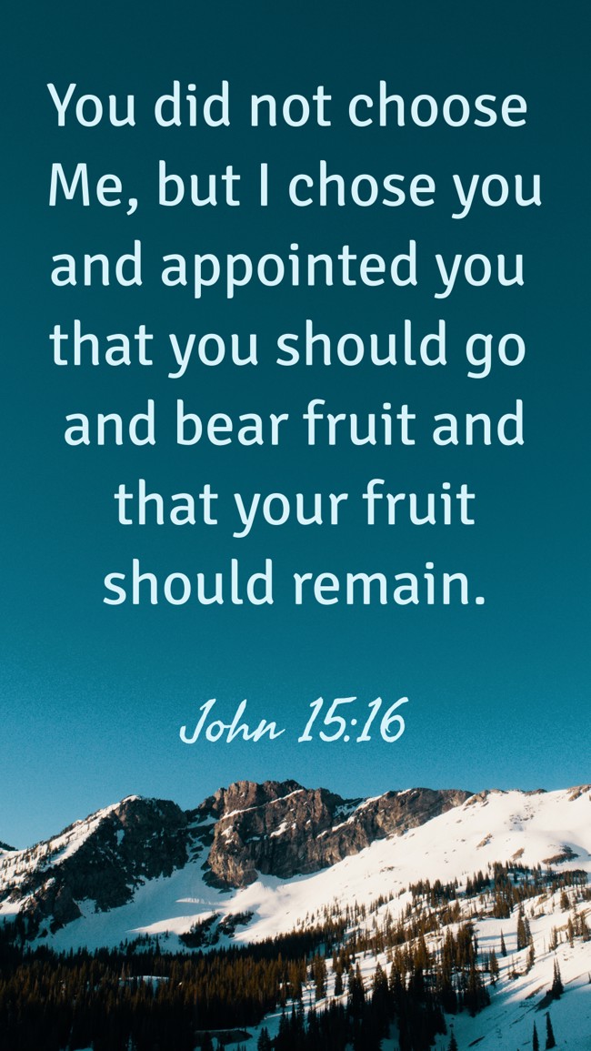  You did not choose Me, but I chose you and appointed you that you should go and bear fruit and that your fruit should remain.   - John 15:16 