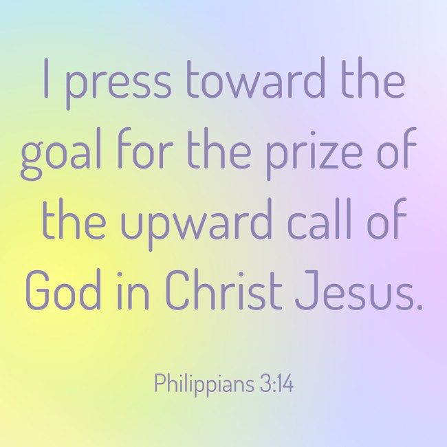  I press toward the goal for the prize of the upward call of God in Christ Jesus.   - Philippians 3:14 