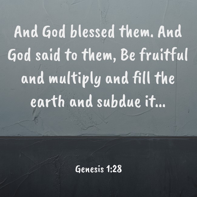 And God blessed them. And God said to them, Be fruitful and multiply and fill the earth and subdue it... - Genesis 1:28
