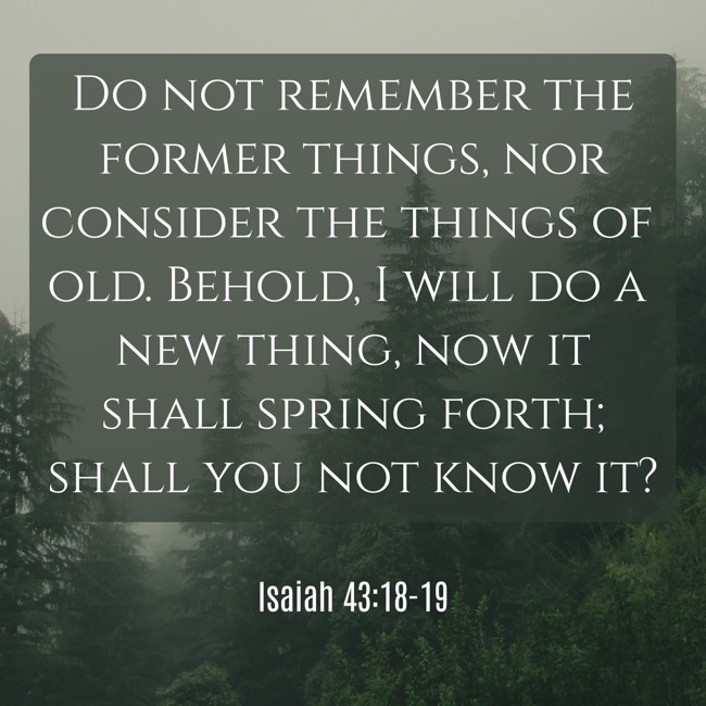 Do not remember the former things, nor consider the things of old. Behold, I will do a new thing, now it shall spring forth; shall you not know it? - Isaiah 43:18-19