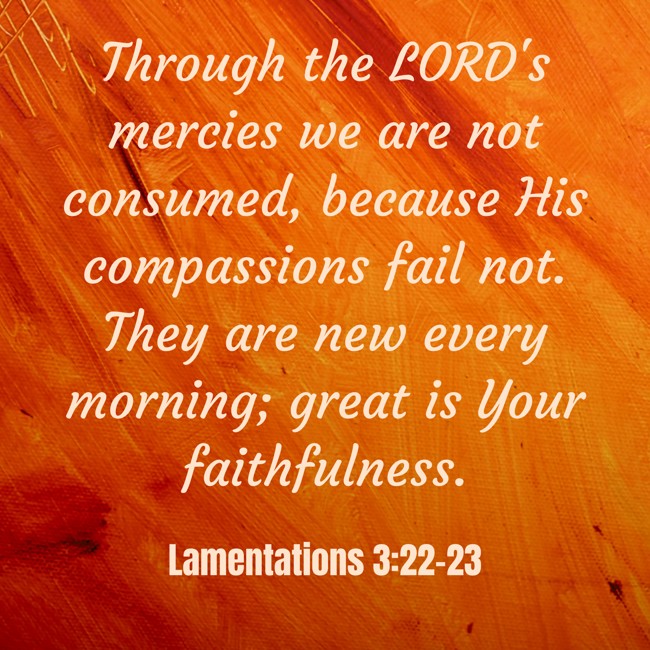 Through the LORD's mercies we are not consumed, because His compassions fail not. They are new every morning; great is Your faithfulness. - Lamentations 3:22-23