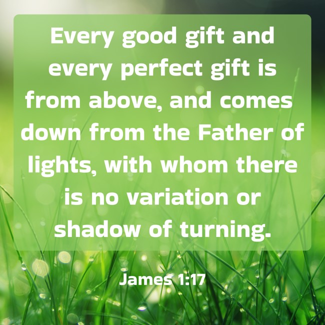 Every good gift and every perfect gift is from above, and comes down from the Father of lights, with whom there is no variation or shadow of turning. - James 1:17