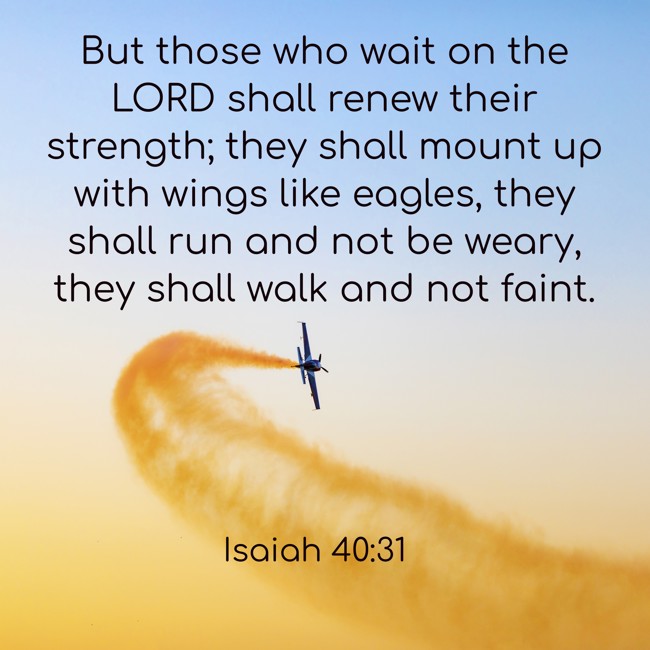 But those who wait on the LORD shall renew their strength; they shall mount up with wings like eagles, they shall run and not be weary, they shall walk and not faint. - Isaiah 40:31