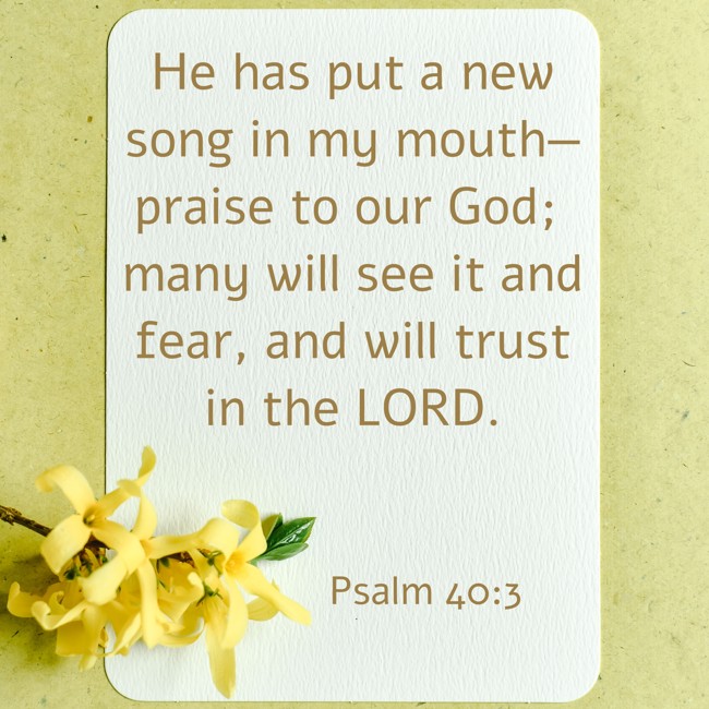 He has put a new song in my mouth—praise to our God; many will see it and fear, and will trust in the LORD. - Psalm 40:3