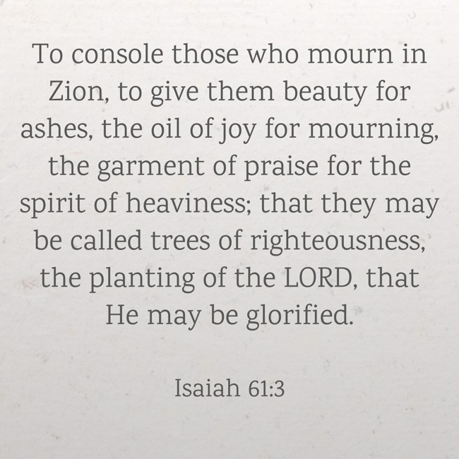 To console those who mourn in Zion, to give them beauty for ashes, the oil of joy for mourning, the garment of praise for the spirit of heaviness; that they may be called trees of righteousness, the planting of the LORD, that He may be glorified. - Isaiah 61:3
