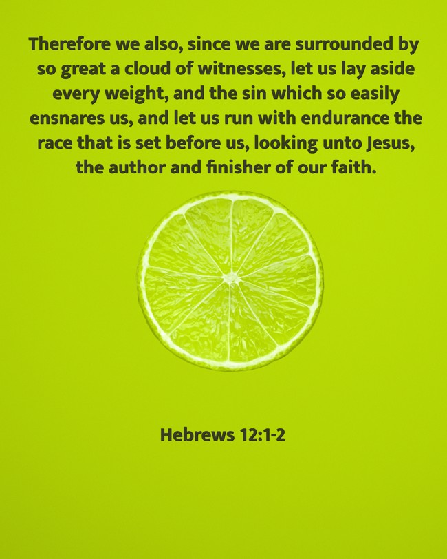 Therefore we also, since we are surrounded by so great a cloud of witnesses, let us lay aside every weight, and the sin which so easily ensnares us, and let us run with endurance the race that is set before us, looking unto Jesus, the author and finisher of our faith. - Hebrews 12:1-2