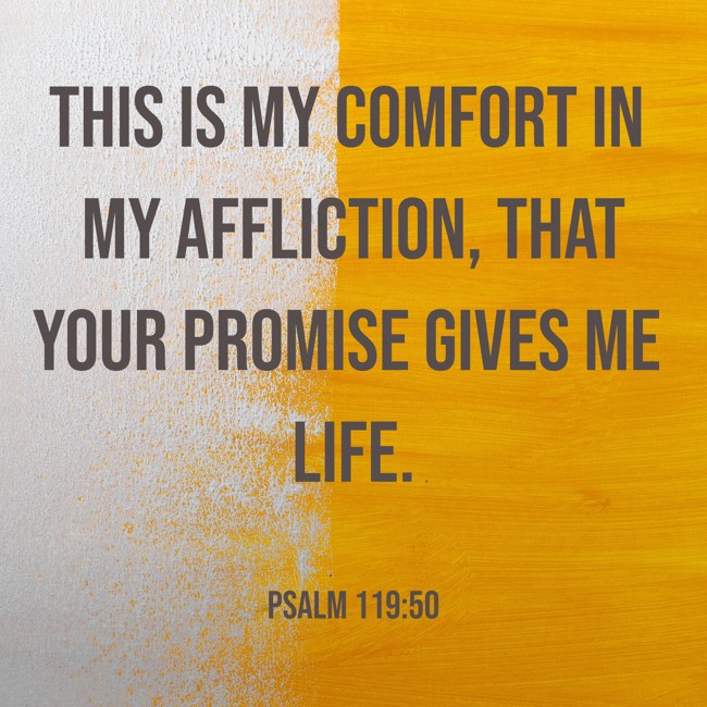 This is my comfort in my affliction, that your promise gives me life. - Psalm 119:50