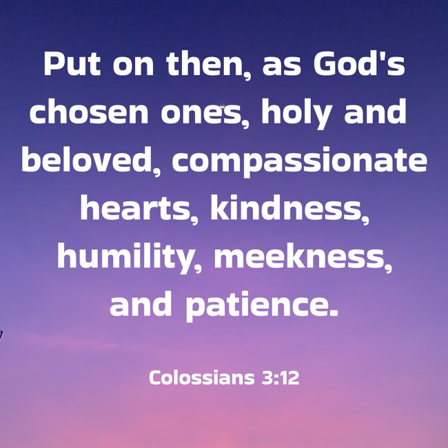 Put on then, as God's chosen ones, holy and beloved, compassionate hearts, kindness, humility, meekness, and patience. - Colossians 3:12