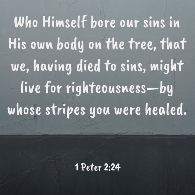  Who Himself bore our sins in His own body on the tree, that we, having died to sins, might live for righteousness—by whose stripes you were healed.   - 1 Peter 2:24 