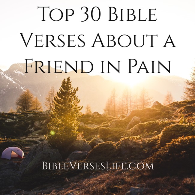 Top 30 Bible Verses About a Friend in Pain