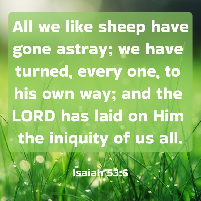  All we like sheep have gone astray; we have turned, every one, to his own way; and the LORD has laid on Him the iniquity of us all.   - Isaiah 53:6 