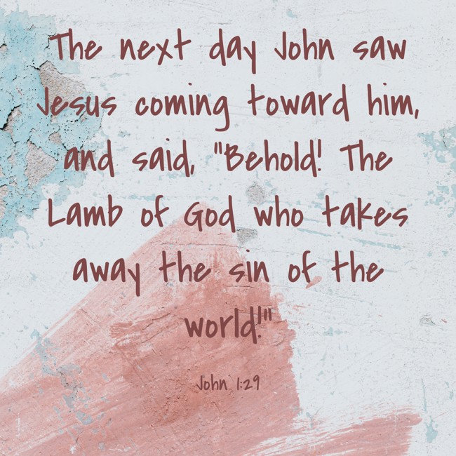  The next day John saw Jesus coming toward him, and said, “Behold! The Lamb of God who takes away the sin of the world!”   - John 1:29 