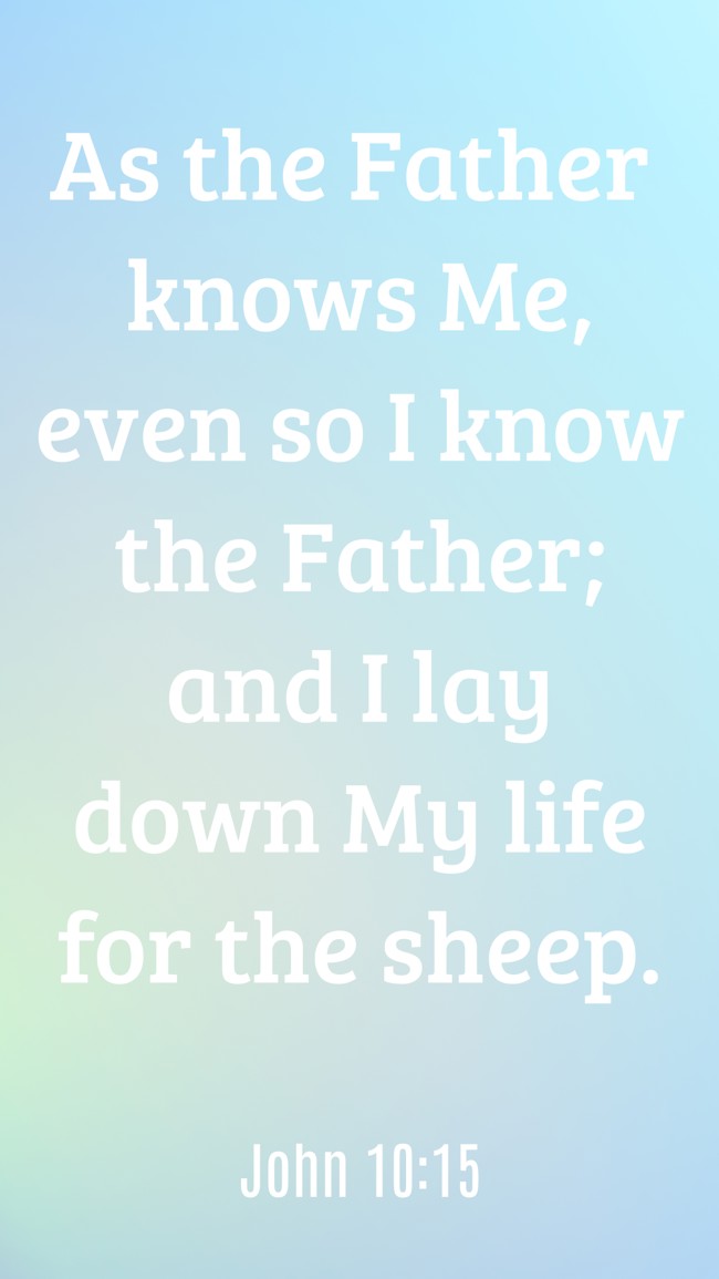  As the Father knows Me, even so I know the Father; and I lay down My life for the sheep.   - John 10:15 