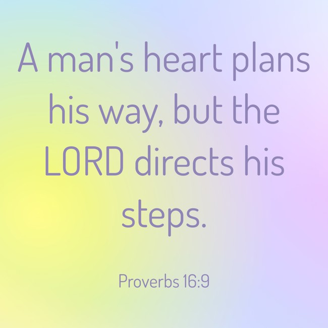 A man's heart plans his way, but the LORD directs his steps.   - Proverbs 16:9 