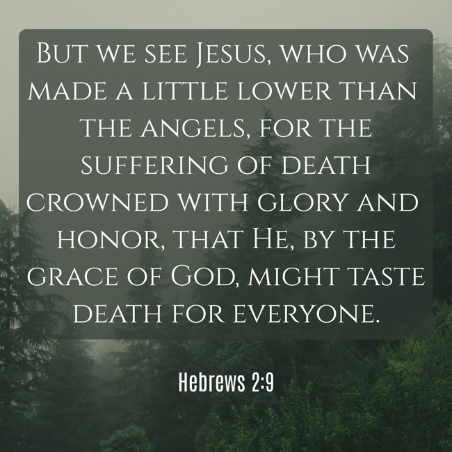  But we see Jesus, who was made a little lower than the angels, for the suffering of death crowned with glory and honor, that He, by the grace of God, might taste death for everyone.   - Hebrews 2:9 