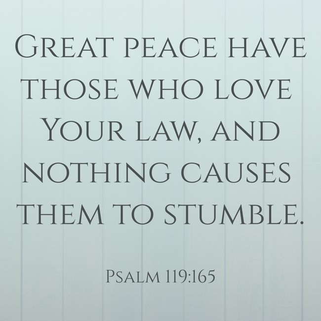  Great peace have those who love Your law, and nothing causes them to stumble.   - Psalm 119:165 