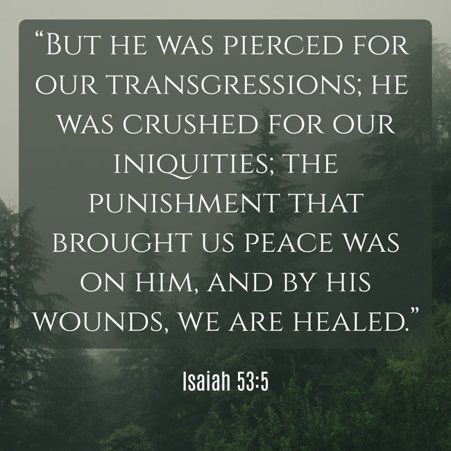“But he was pierced for our transgressions; he was crushed for our iniquities; the punishment that brought us peace was on him, and by his wounds, we are healed.” - Isaiah 53:5