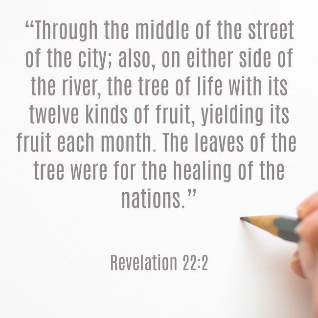 “Through the middle of the street of the city; also, on either side of the river, the tree of life with its twelve kinds of fruit, yielding its fruit each month. The leaves of the tree were for the healing of the nations.” - Revelation 22:2