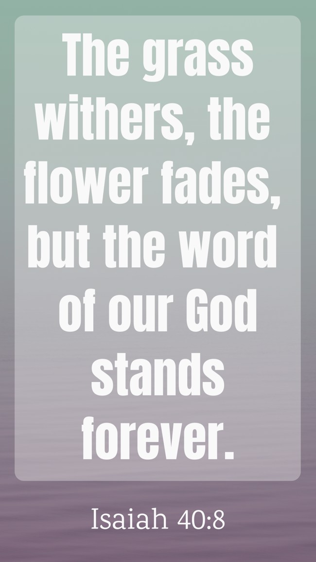 The grass withers, the flower fades, but the word of our God stands forever. - Isaiah 40:8