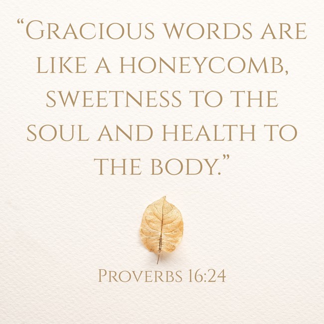 “Gracious words are like a honeycomb, sweetness to the soul and health to the body.” - Proverbs 16:24