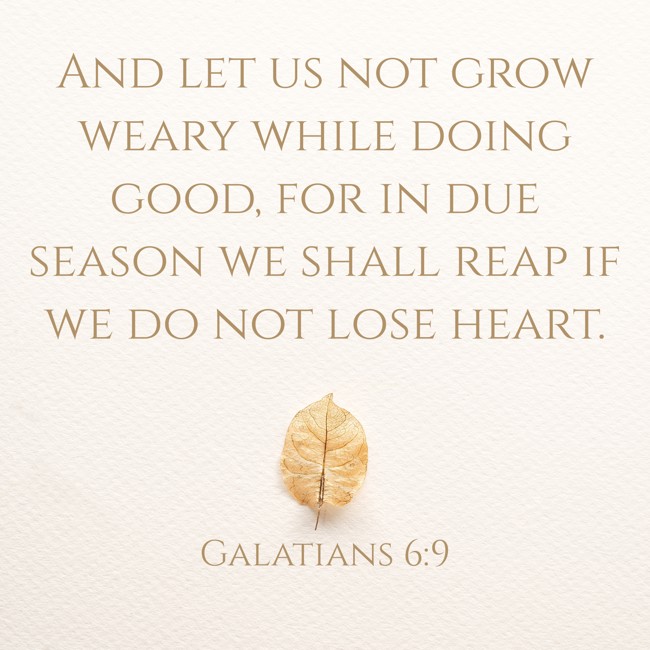 And let us not grow weary while doing good, for in due season we shall reap if we do not lose heart. - Galatians 6:9