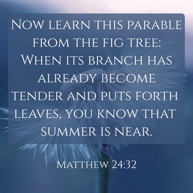 Now learn this parable from the fig tree: When its branch has already become tender and puts forth leaves, you know that summer is near. - Matthew 24:32