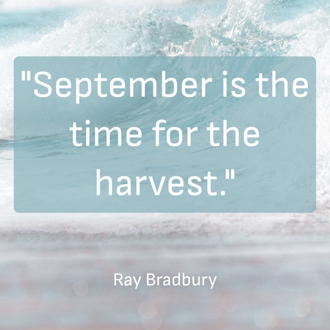 September is the time for the harvest. - Ray Bradbury