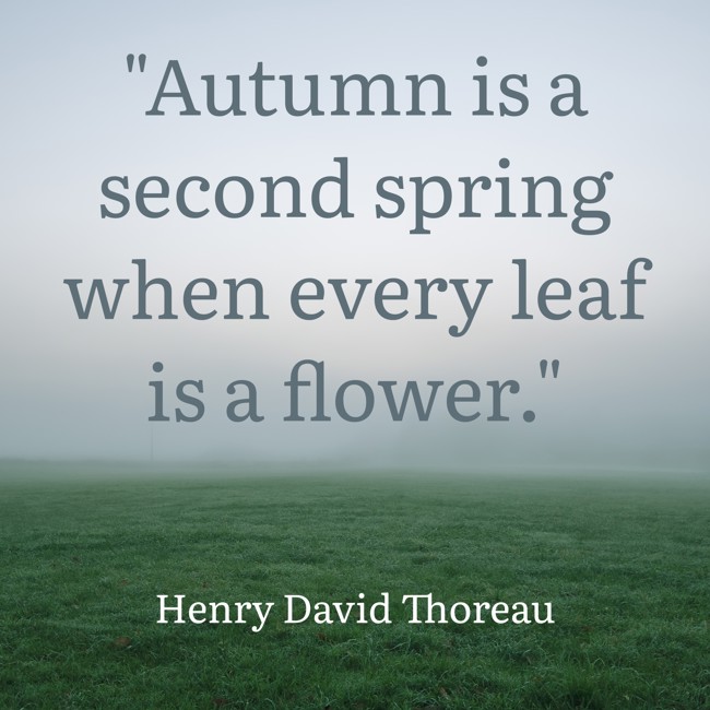 Autumn is a second spring when every leaf is a flower. - Henry David Thoreau