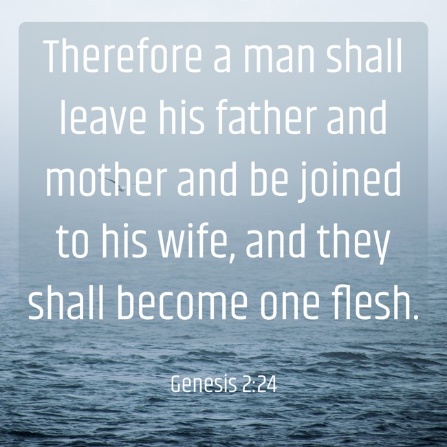 Therefore a man shall leave his father and mother and be joined to his wife, and they shall become one flesh. - Genesis 2:24