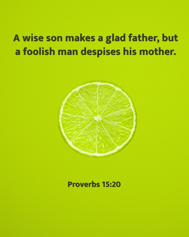 A wise son makes a glad father, but a foolish man despises his mother. - Proverbs 15:20