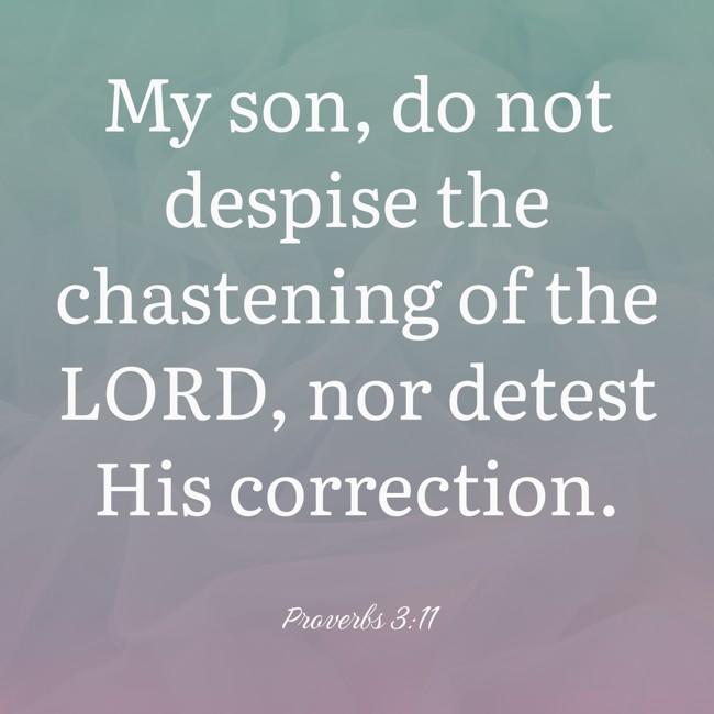 My son, do not despise the chastening of the LORD, nor detest His correction. - Proverbs 3:11