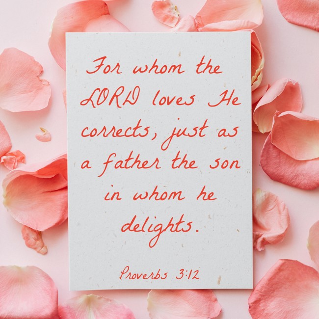 For whom the LORD loves He corrects, just as a father the son in whom he delights. - Proverbs 3:12