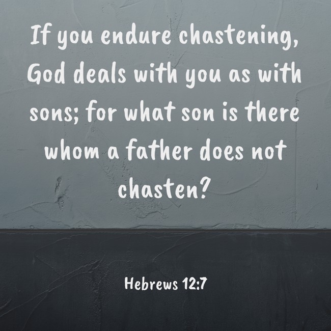 If you endure chastening, God deals with you as with sons; for what son is there whom a father does not chasten? - Hebrews 12:7