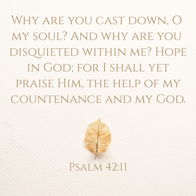 Why are you cast down, O my soul? And why are you disquieted within me? Hope in God; for I shall yet praise Him, the help of my countenance and my God. - Psalm 42:11