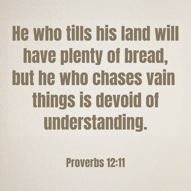 He who tills his land will have plenty of bread, but he who chases vain things is devoid of understanding. - Proverbs 12:11