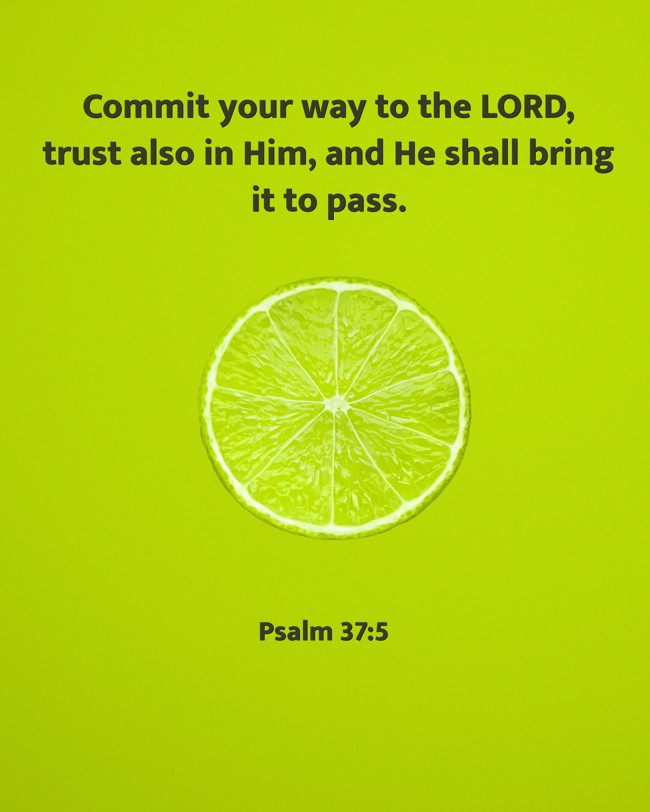 Commit your way to the LORD, trust also in Him, and He shall bring it to pass. - Psalm 37:5