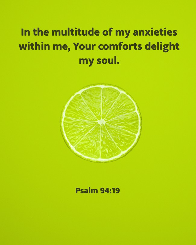 In the multitude of my anxieties within me, Your comforts delight my soul. - Psalm 94:19