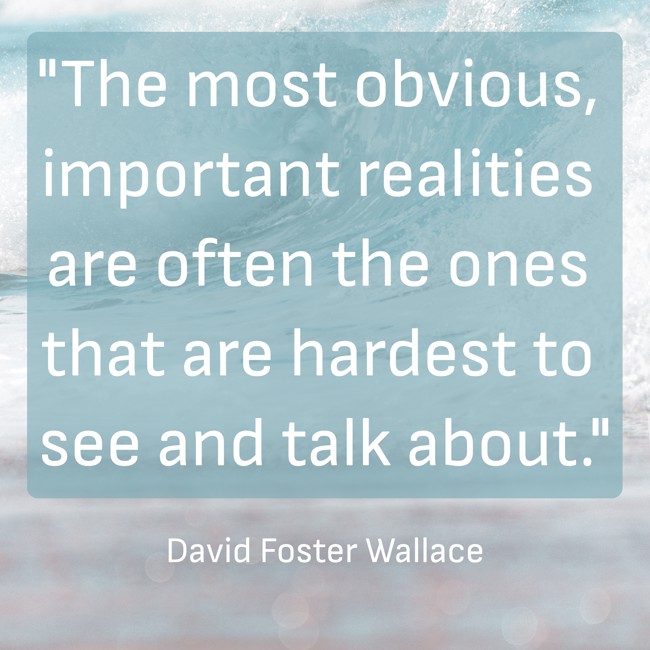 The most obvious, important realities are often the ones that are hardest to see and talk about. - David Foster Wallace