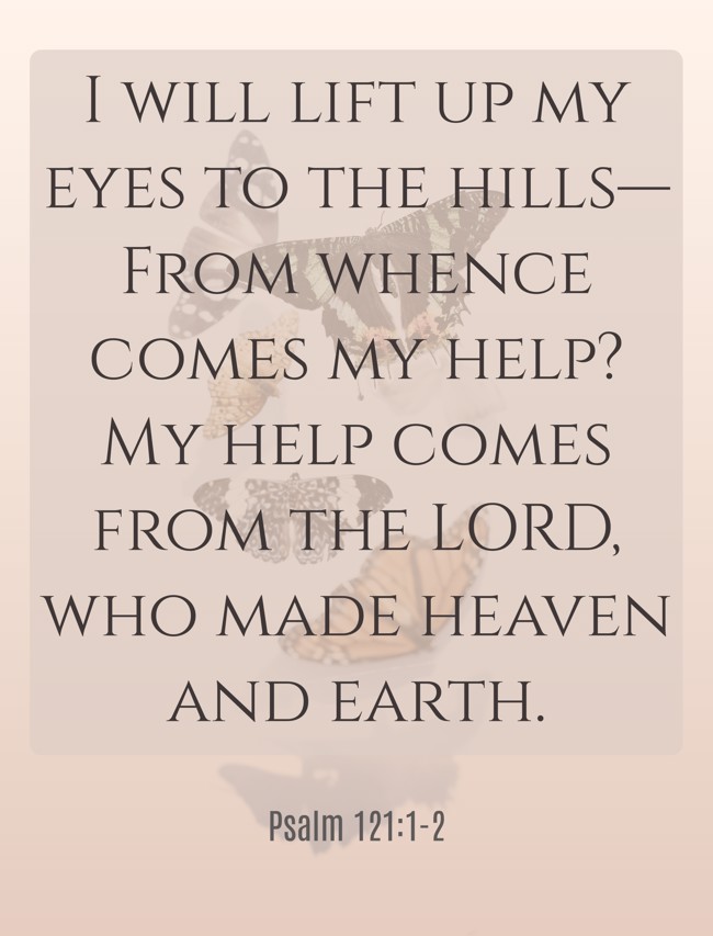 I will lift up my eyes to the hills—From whence comes my help? My help comes from the LORD, who made heaven and earth. - Psalm 121:1-2