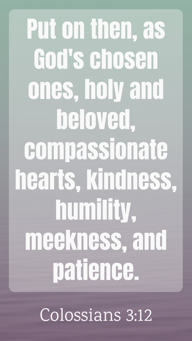 Put on then, as God's chosen ones, holy and beloved, compassionate hearts, kindness, humility, meekness, and patience. - Colossians 3:12