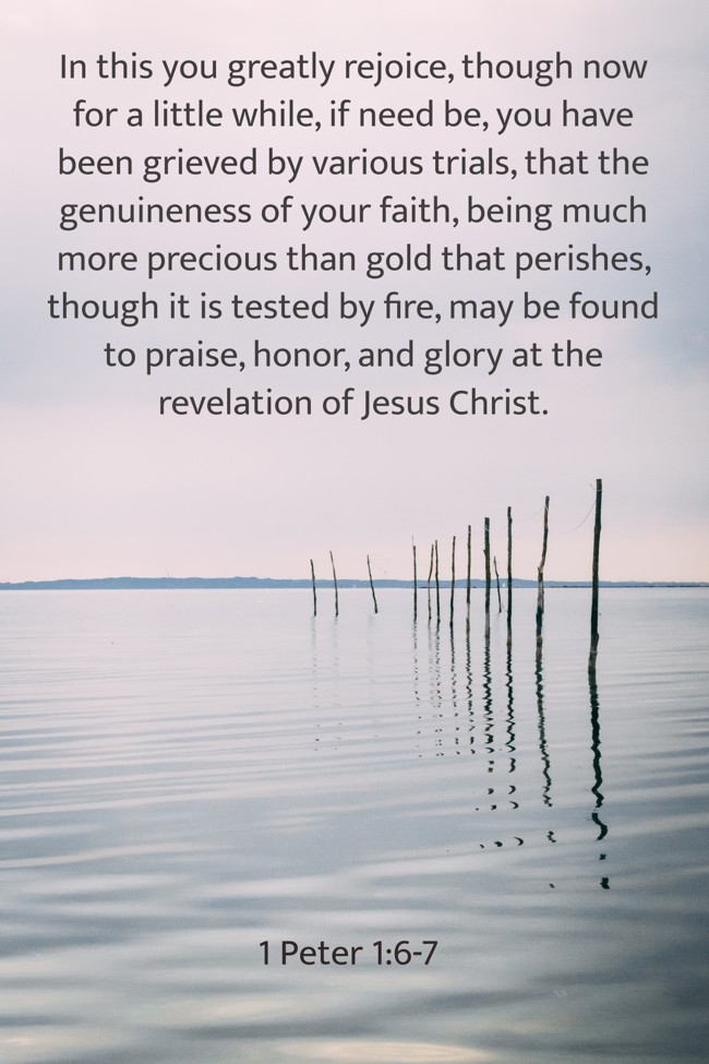 In this you greatly rejoice, though now for a little while, if need be, you have been grieved by various trials, that the genuineness of your faith, being much more precious than gold that perishes, though it is tested by fire, may be found to praise, honor, and glory at the revelation of Jesus Christ. - 1 Peter 1:6-7